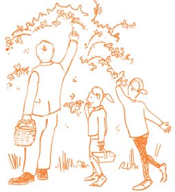 rsz_autumn_2 FUN and FABULOUS seasonal activities