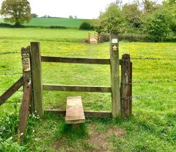 stile and bridge in meadow along Mid Suffolk Footpath stile and bridge in green meadow along Mid Suffolk Footpath