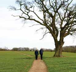 two people walking along a the Fynn Valley Path through a green field next to a large tree in winter