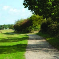 track at Alton Water a shady path at Alton Water