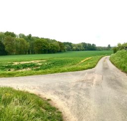view of a lane between green fields near the Stowmarket end of the Mid Suffolk Footpath