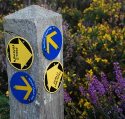 Suffolk Coast Path and public footpath waymarkers on wooden post in amongst gorse and heather